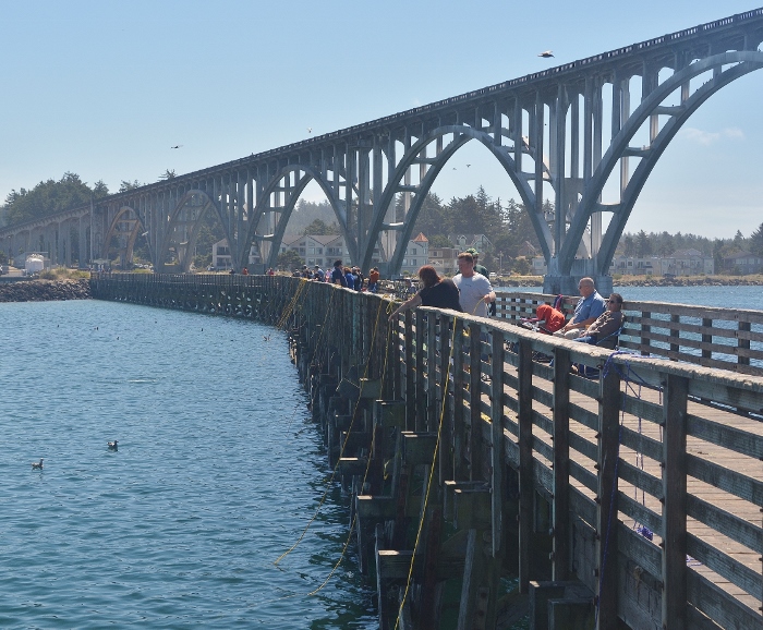 The Yaquina Bay Bridge
